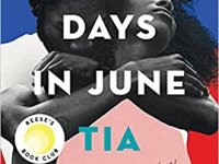 Seven Days in June Book Review
